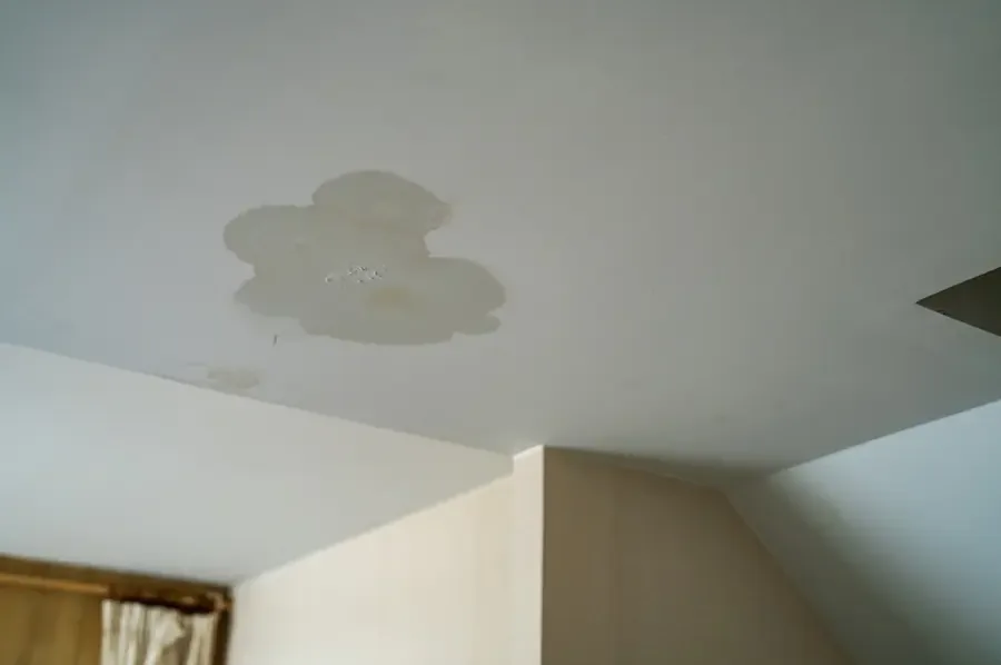 Yellow water stain spreading across a white ceiling