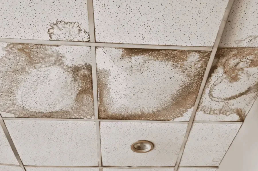Water-stained drop ceiling tiles in a commercial space after a leak above